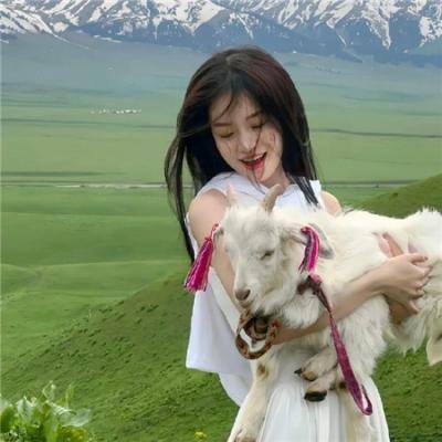 沃尔多·沙特:编剧之旅
